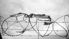 Barbed wire