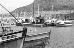 Hout bay