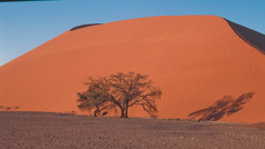 Sossusvlei