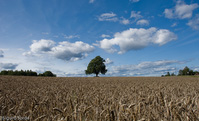 Autumn approaching