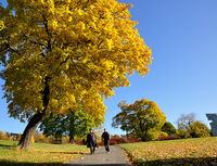 Tøyenparken