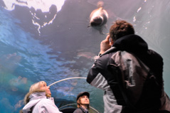 Akvariet i Tromsø