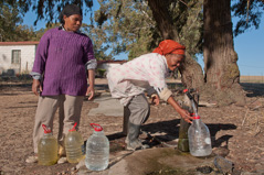 Farm workers