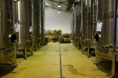 Wine making