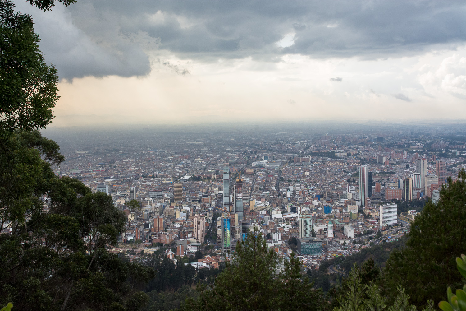 Bogota