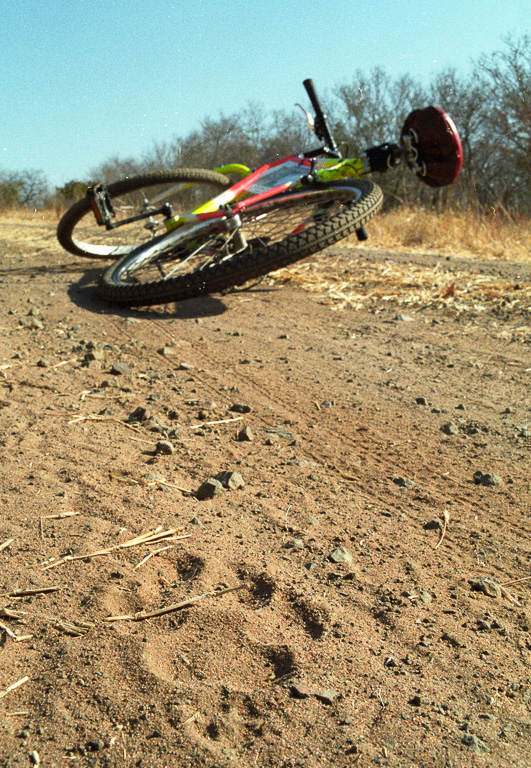 On bike, outside Victoria falls, Zimbabwe