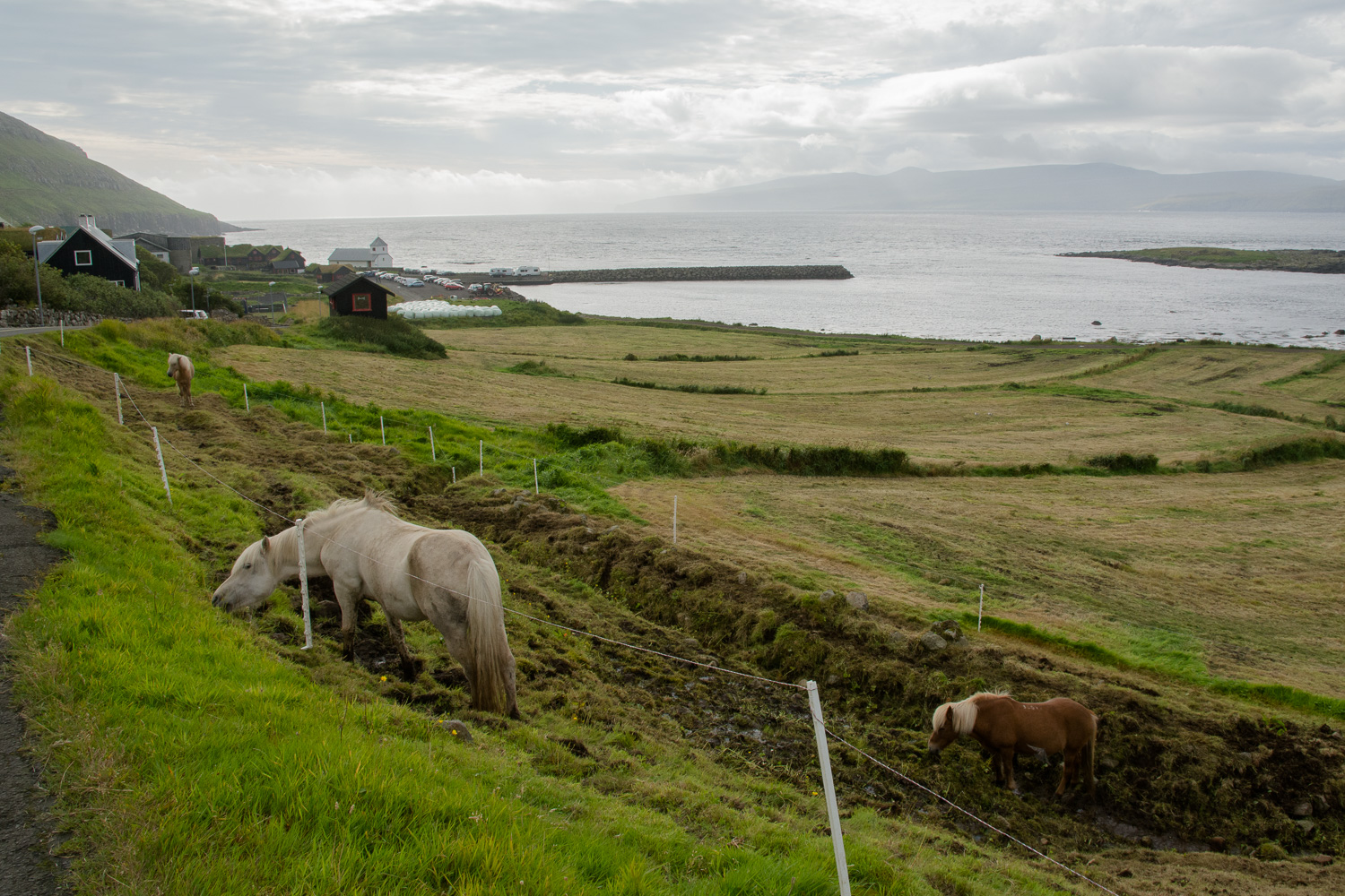 Kirkjubøur, noen kilometer utenfor Tórshavn, er visstnok Kong Sverres fødested.