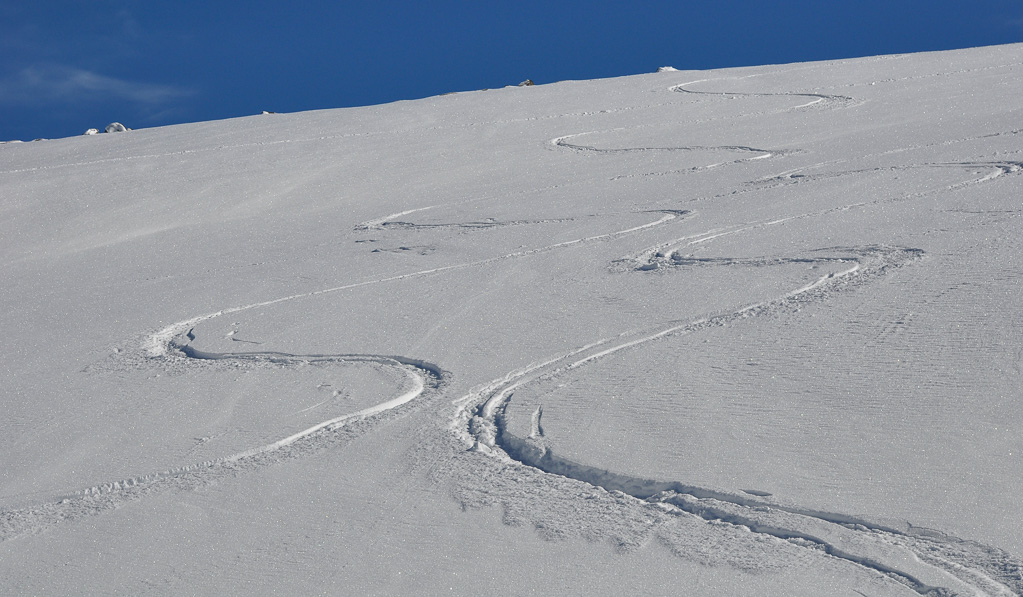 Øyunn og Sigurd kjører parallell telemark i nysnøen