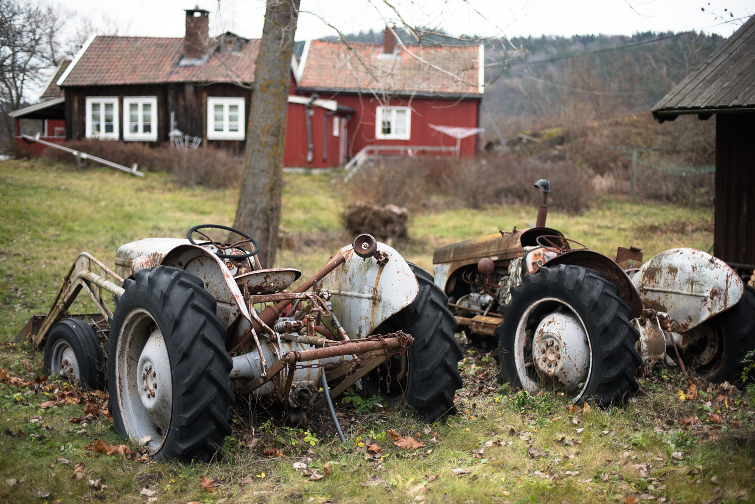 Bleikøya gård