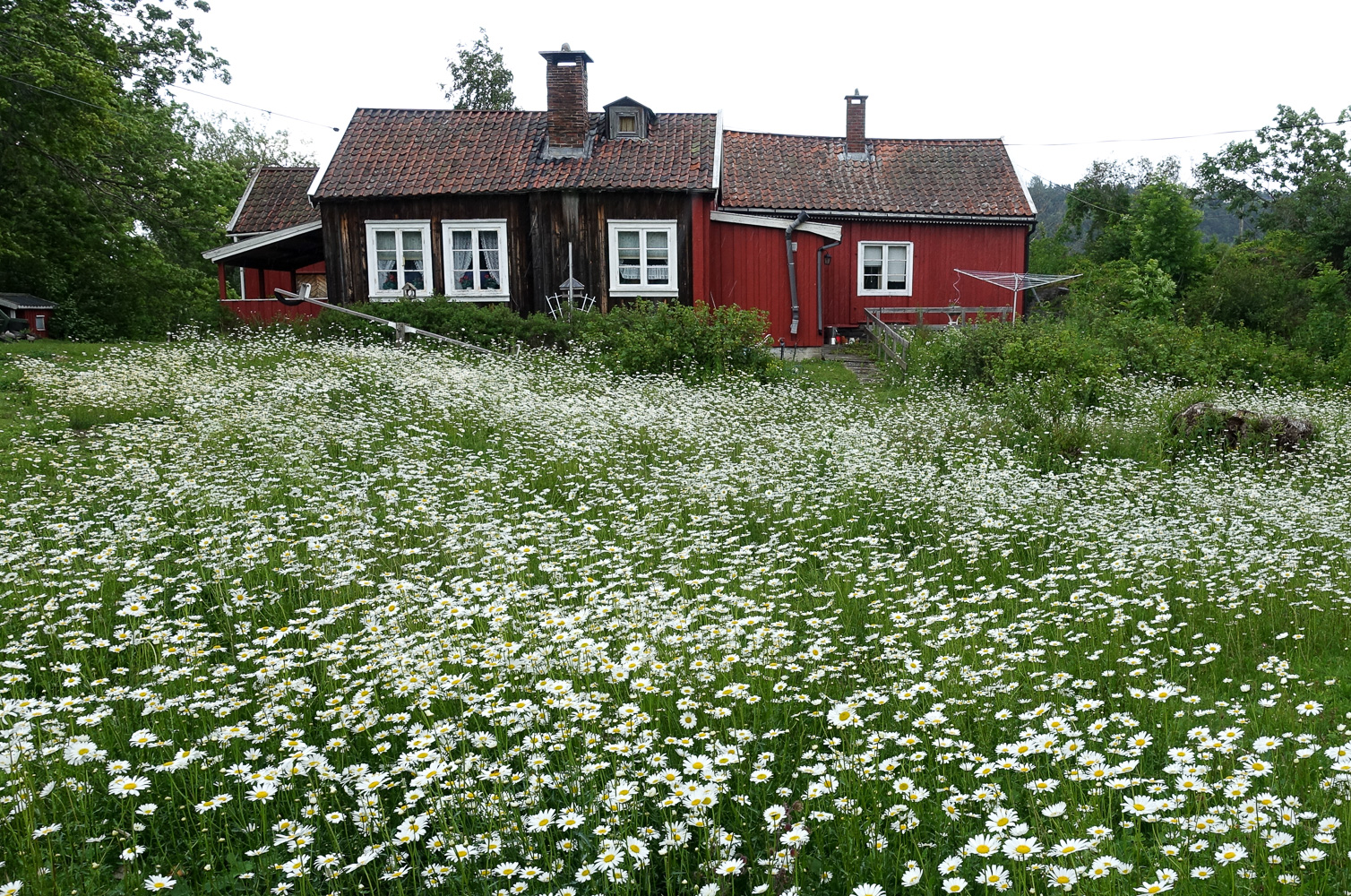 Gården på Bleikøya