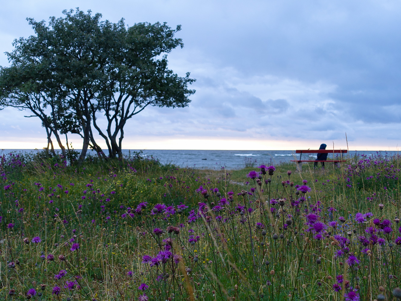 Visby, Gotland