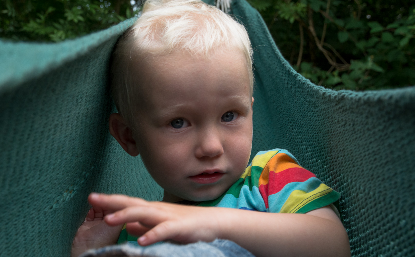 Einar i hengekøya