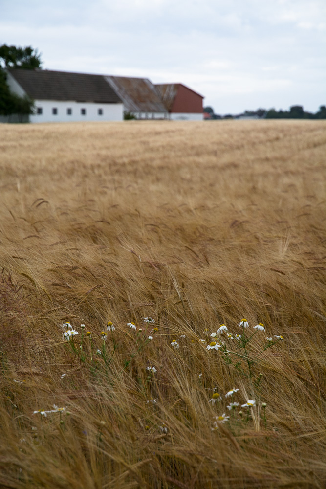 Bornholm