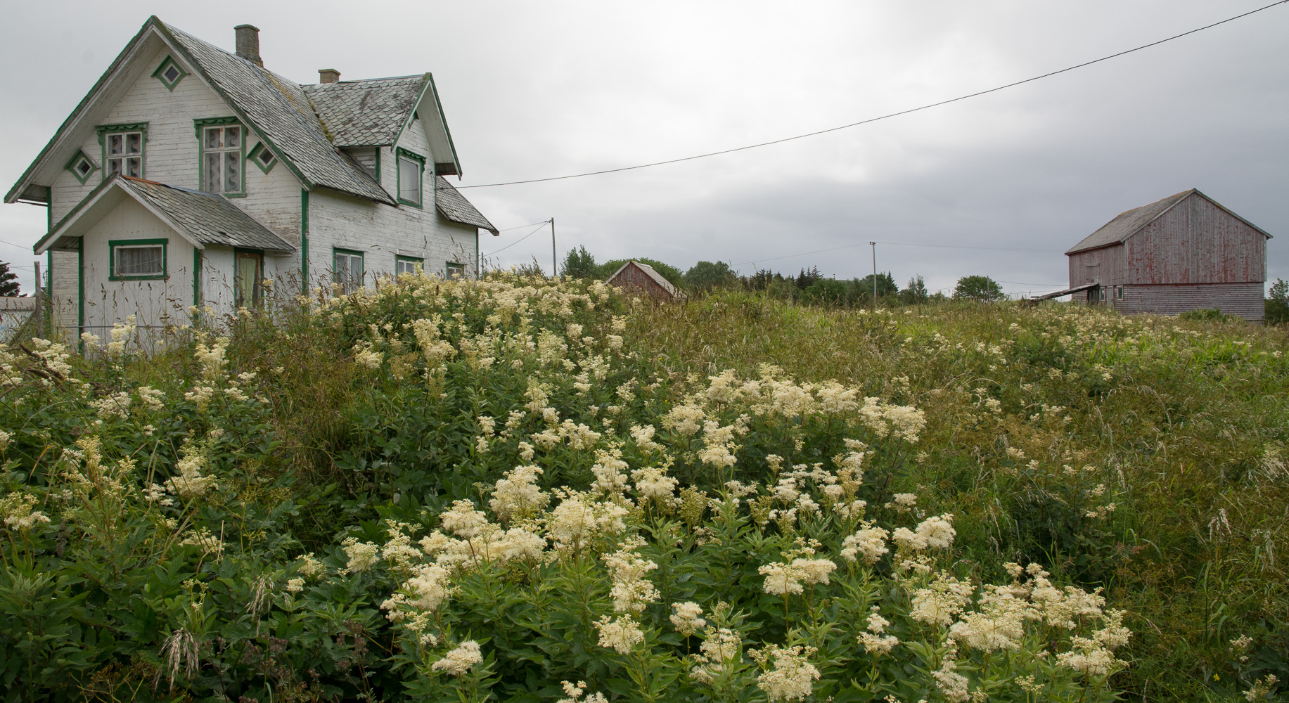 Seløya i Herøy kommune // Seløy