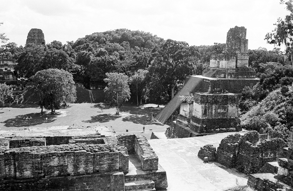 Tikal