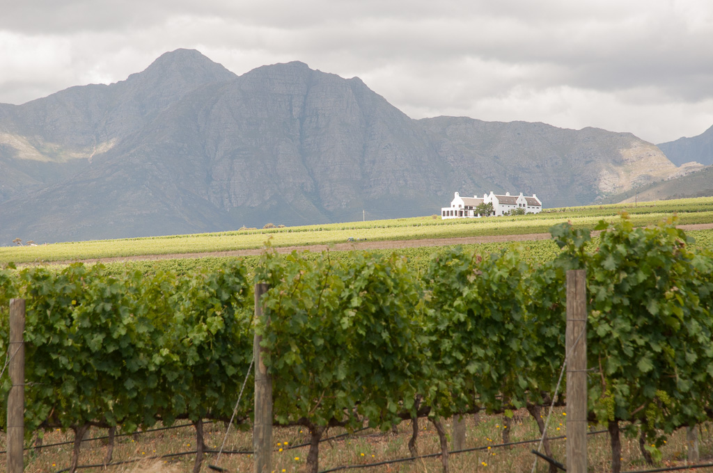 Stellenbosch